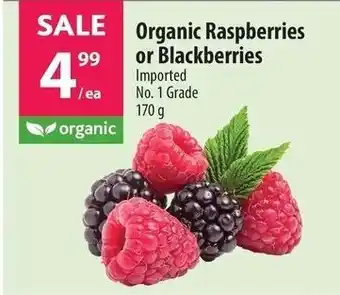 Co-op Organic Raspberries or Blackberries 170g offer