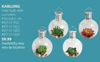 JYSK KARLUNG Solar bulb with succulent. offer