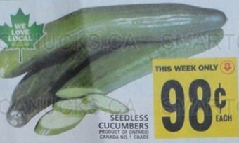 Food Basics SEEDLESS CUCUMBERS offer