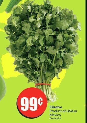 FreshCo Cilantro offer