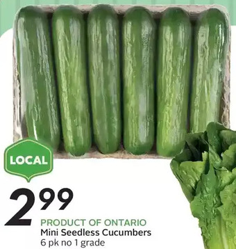 Sobeys Mini seedless cucumbers offer