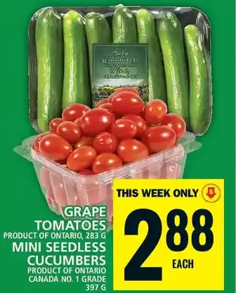 Food Basics Grape tomatoes | mini seedless cucumbers offer