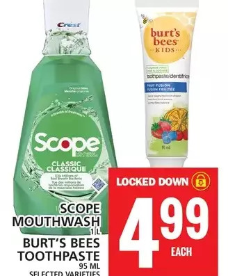 Food Basics Scope mouthwash | burt's bees toothpaste offer