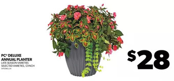 Real Canadian Superstore Pc deluxe annual planter offer