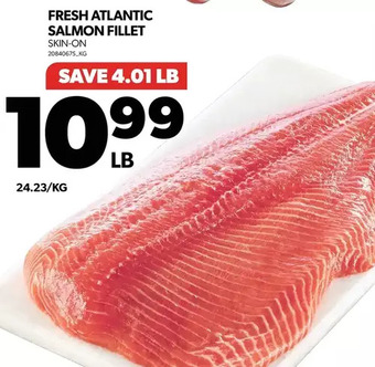 Real Canadian Superstore Fresh atlantic salmon fillet offer