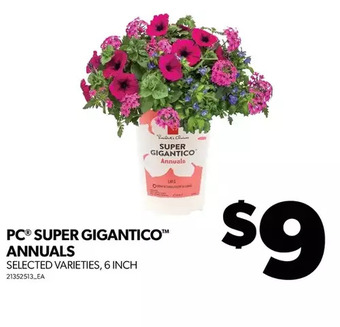 Real Canadian Superstore Pc super gigantico annuals offer