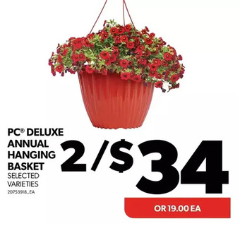 Real Canadian Superstore Pc deluxe annual hanging basket offer