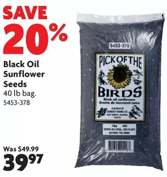 Home Hardware Black oil sunflower seeds offer