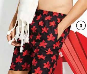 Giant Tiger Men's swim trunks offer