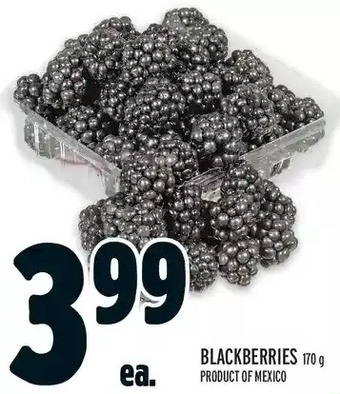 Metro Blackberries offer