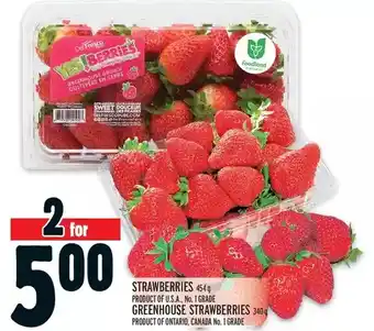 Metro Strawberries | greenhouse strawberries offer