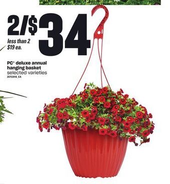 Loblaws Pc® deluxe annual hanging basket offer