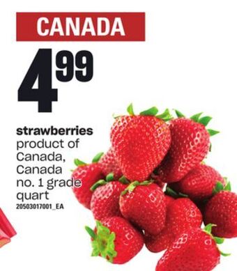 Loblaws Strawberries, quart offer