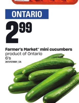 Loblaws Farmer's market™ mini cucumbers, 6's offer