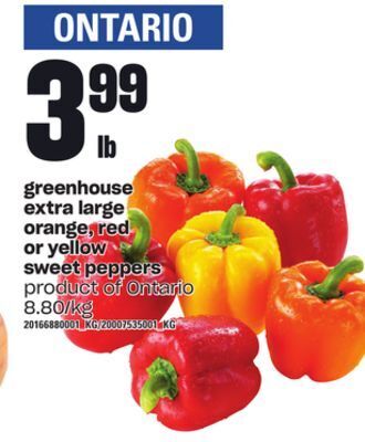 Loblaws Greenhouse extra large orange, red or yellow sweet peppers offer