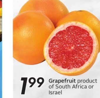 Sobeys Grapefruit offer