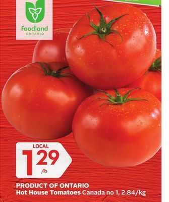 Foodland Hot house tomatoes canada no 1 offer