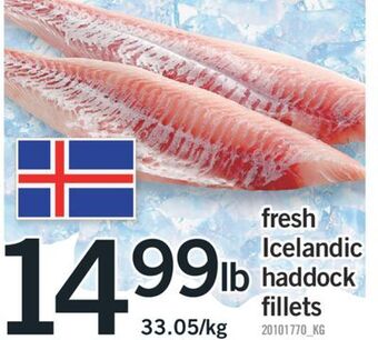 Fortinos Fresh icelandic haddock fillets offer