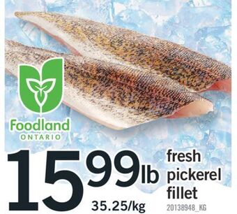 Fortinos Fresh pickerel fillet offer