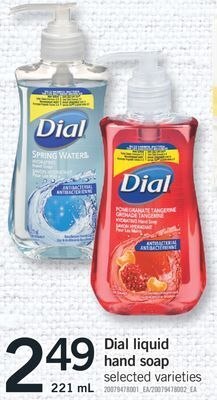 Fortinos Dial liquid hand soap, 221 ml offer