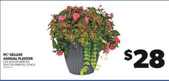 Real Canadian Superstore Pc® deluxe annual planter, 12 inch offer