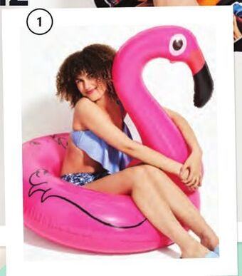 Giant Tiger Inflatable pool float flamingo offer