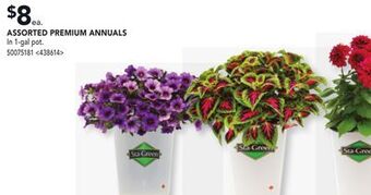 RONA Assorted premium annual offer