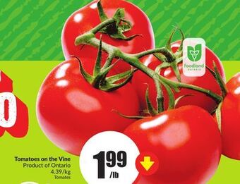 Chalo FreshCo Tomatoes on the vine product of ontario 4.39/kg offer