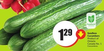 Chalo FreshCo Seedless cucumbers product of ontario canada no. 1 offer