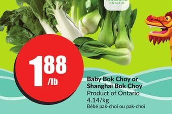 Chalo FreshCo Baby bok choy or shanghai bok choy product of ontario 4.14/kg offer