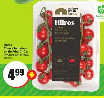 Chalo FreshCo Hiiros cherry tomatoes on the vine 340 g product of ontario offer
