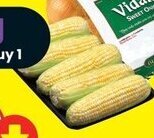 FreshCo Corn Tray 5 pk offer