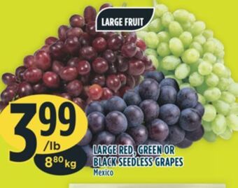 Marché Adonis Large fruit large red, green or black seedless grapes offer