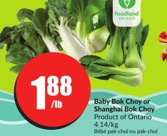 FreshCo Baby bok choy or shanghai bok choy product of ontario 4.14/kg offer