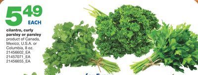 Wholesale Club Cilantro, curly parsley or parsley offer