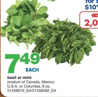 Wholesale Club Basil or mint offer