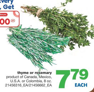 Wholesale Club Thyme or rosemary, 8 oz. offer