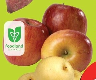 FreshCo Fuji Apples offer
