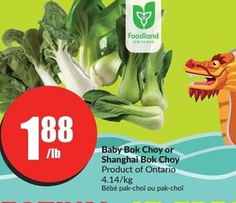FreshCo Baby Bok Choy or Shanghai Bok Choy offer