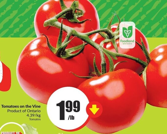 FreshCo Tomatoes on the Vine offer