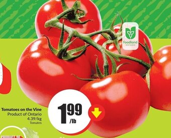 FreshCo Tomatoes on the Vine offer
