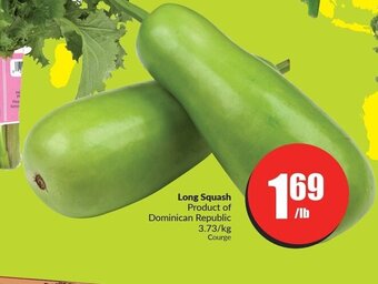 FreshCo Long Squash offer