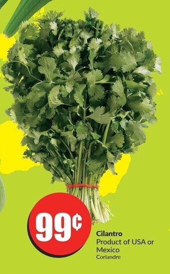 FreshCo Cilantro offer