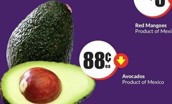 FreshCo Avocados offer