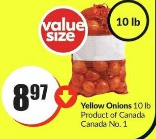FreshCo Yellow Onions 10 lb offer