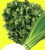FreshCo Cilantro offer