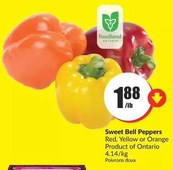 FreshCo Sweet bell peppers offer