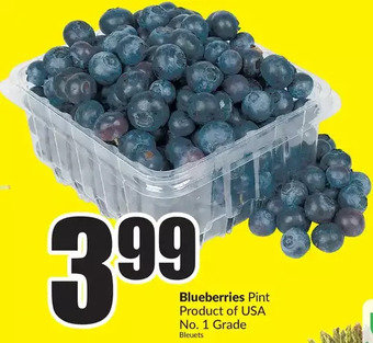 FreshCo Blueberries offer