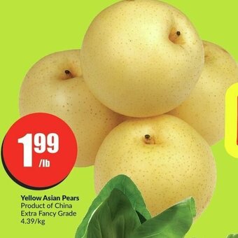 FreshCo Yellow Asian Pears offer