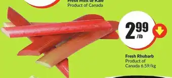 FreshCo Fresh Rhubarb offer